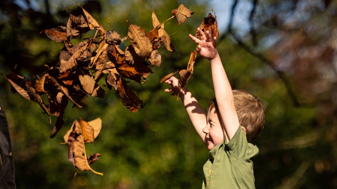 Autumn family visits to Dyffryn Gardens